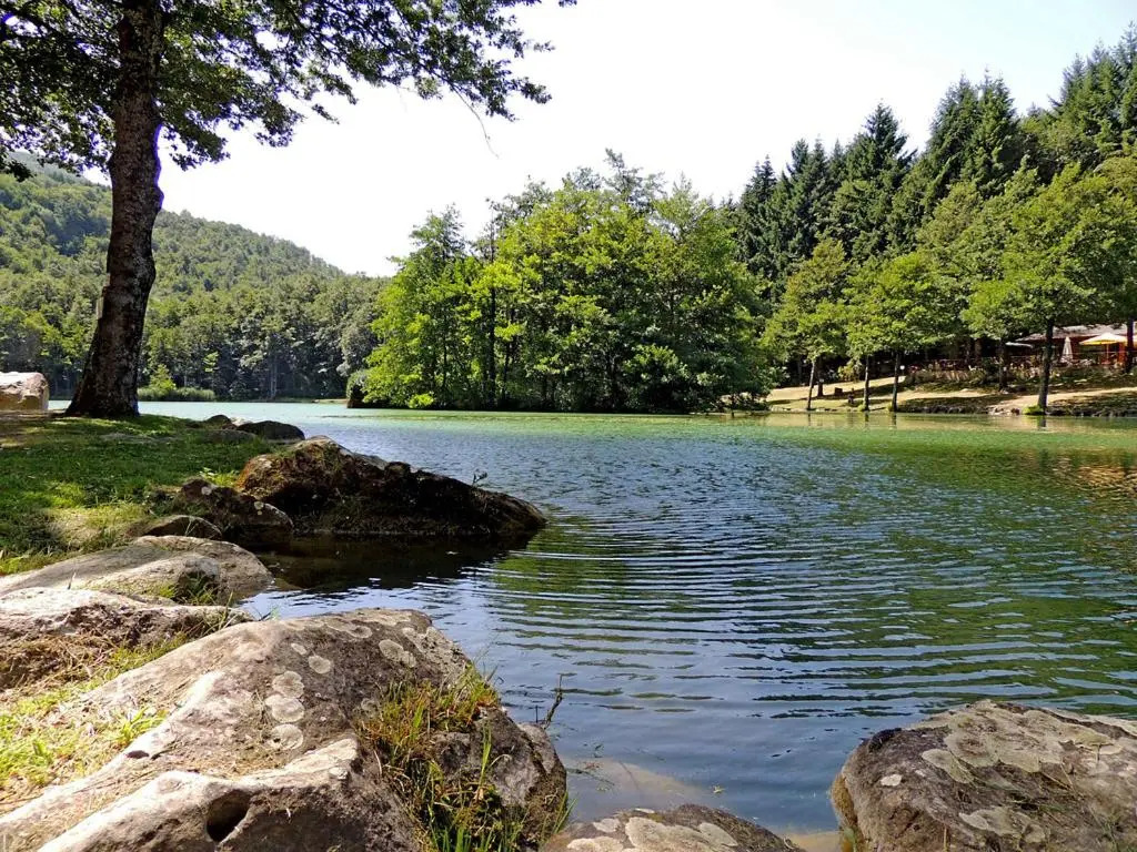 Agriturismo Il Falco del Monte Fumaiolo