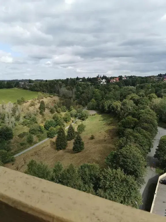 Ferienwohnung Harz Hohegeiß App 569