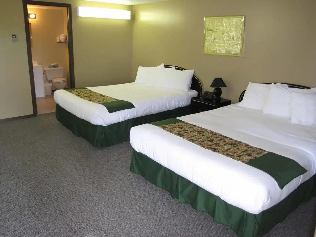 Bear Country Inn and Suites
