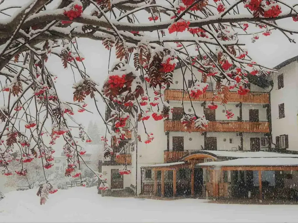 Albergo Panorama