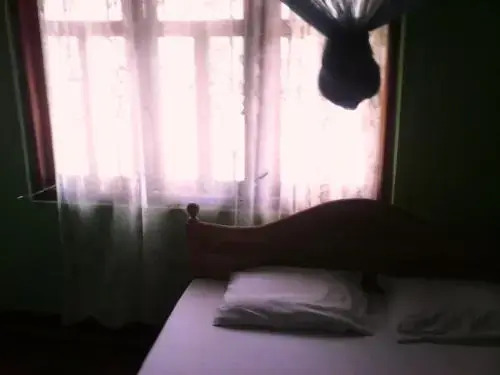 Avila Guest House
