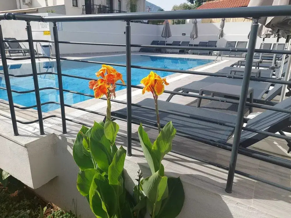 Celeste Hotel