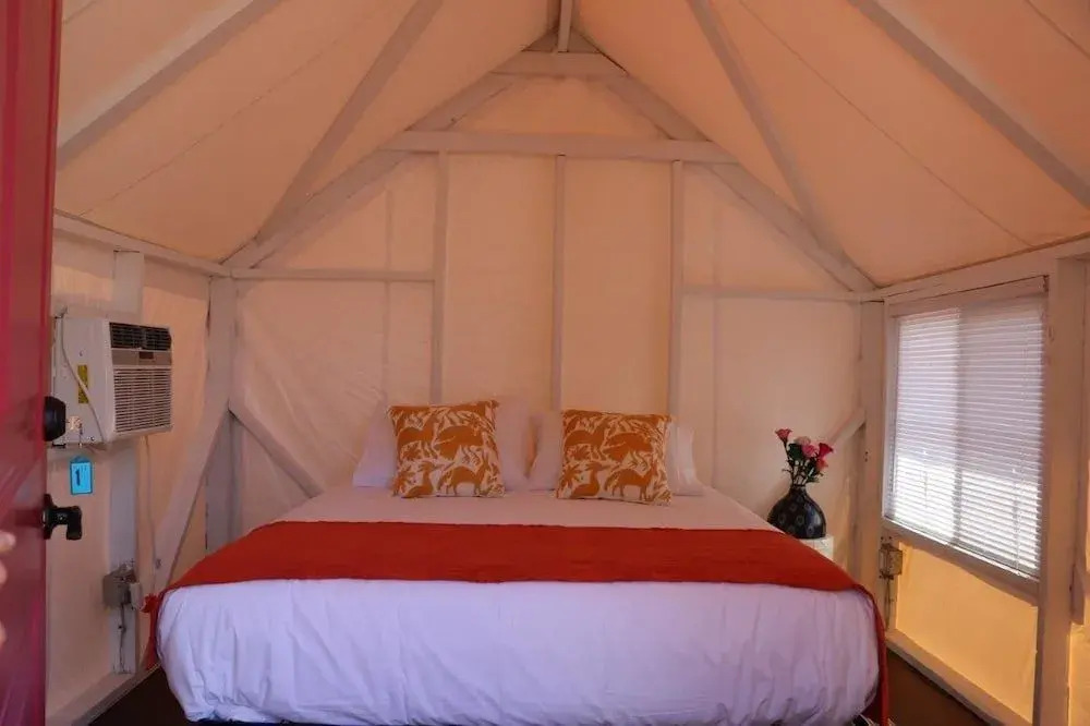 Camp Coyoacan