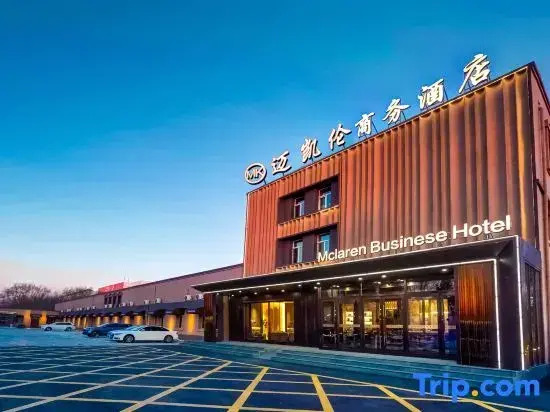 Harbin Airport McLaren Hotel (Airport T2 Terminal)