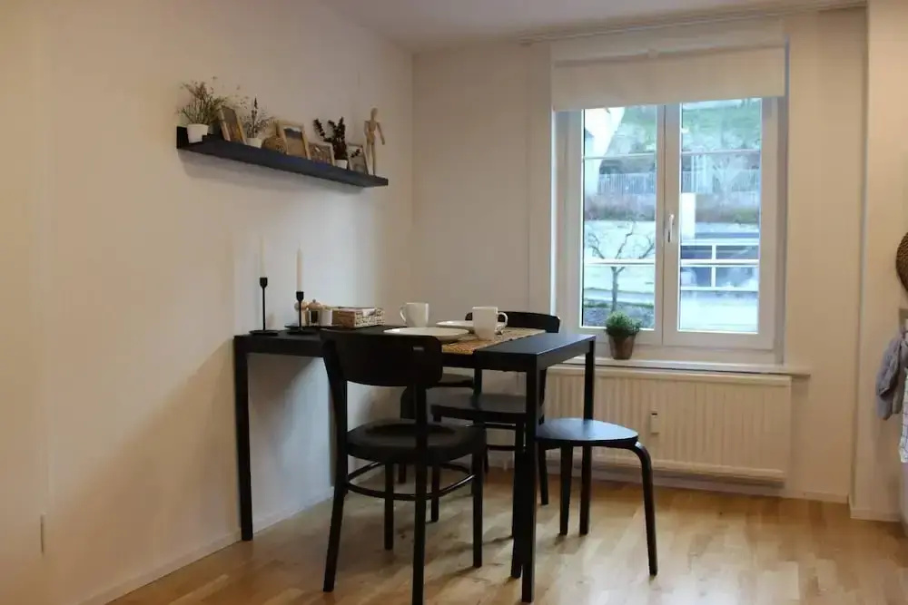 Completely Renovated Apartment Near the Train Station and the Center