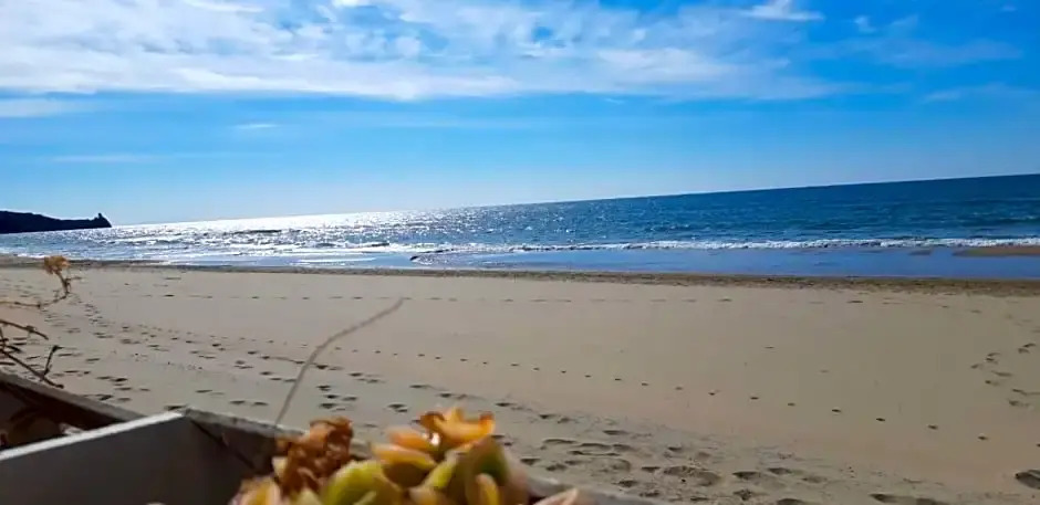Bungalow Minonthebeach