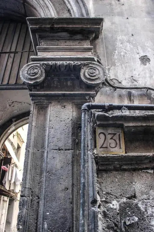 Tribunali231