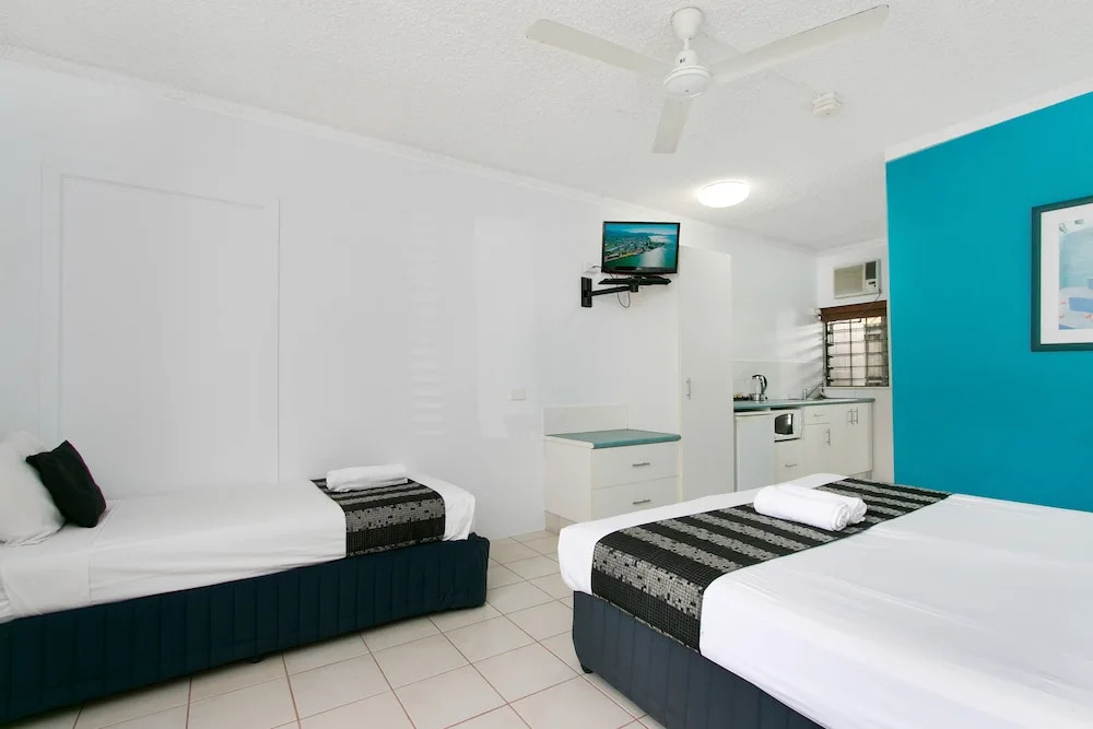 Cairns City Palms