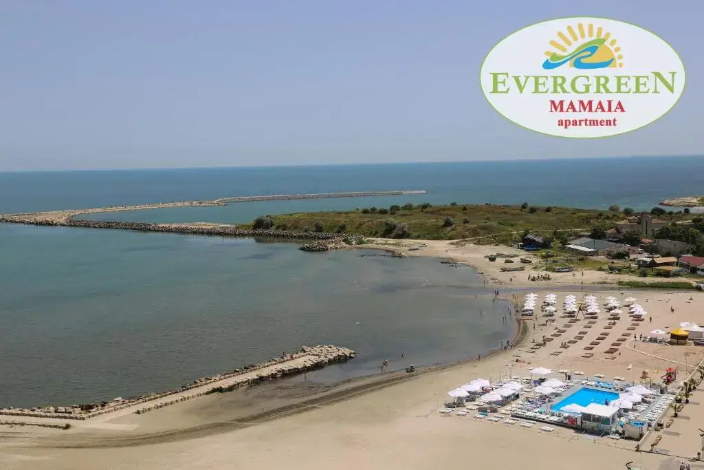 Evergreen Vlas Mamaia