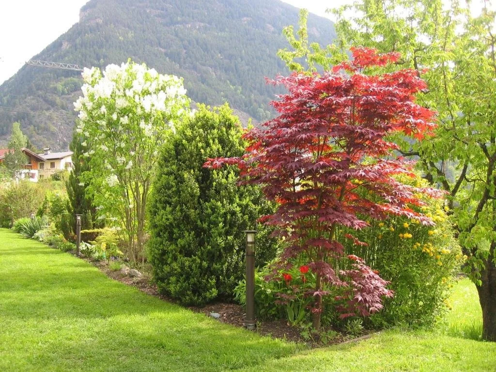 Haus Alpenglühn