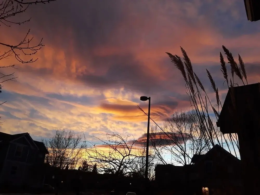 Ultimate Colorado Experience ~ Walk to Everything Holiday home 3