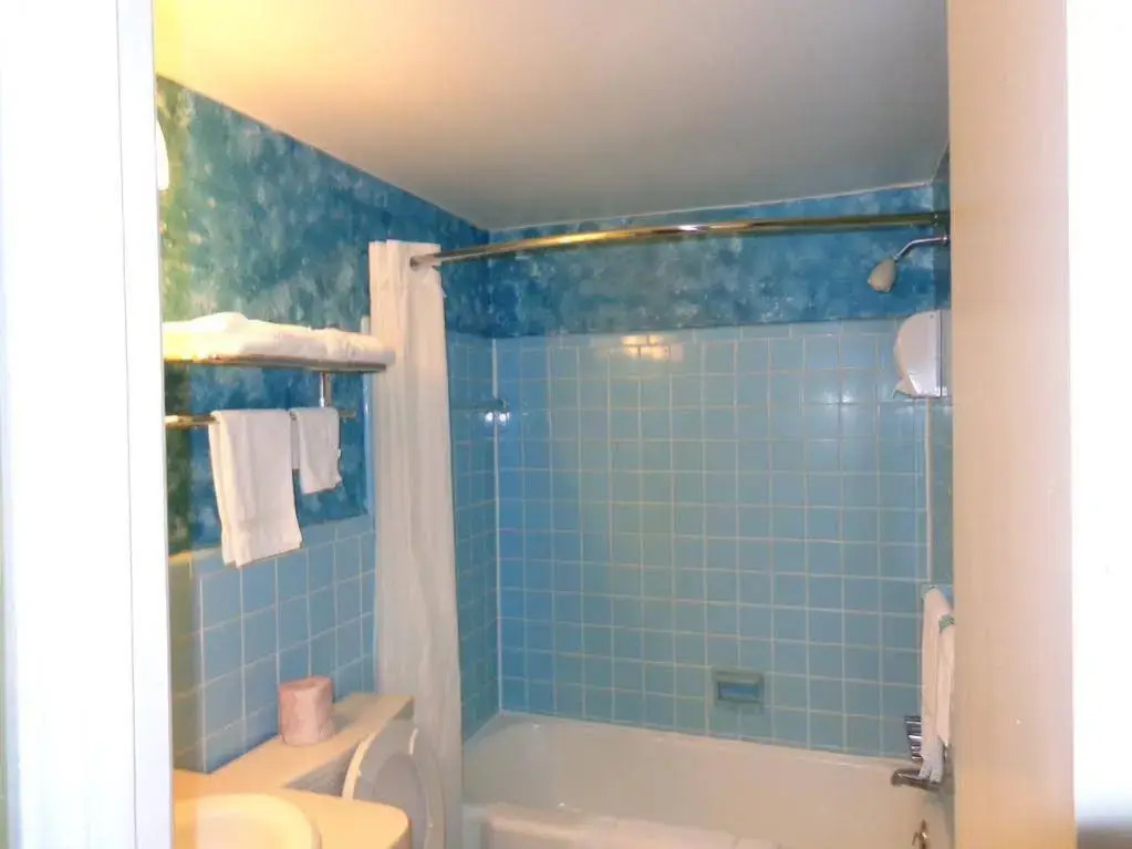 Spartan Motel - Rochester