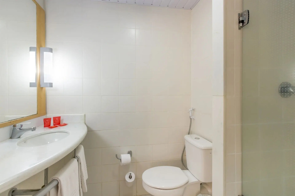 ibis Barretos