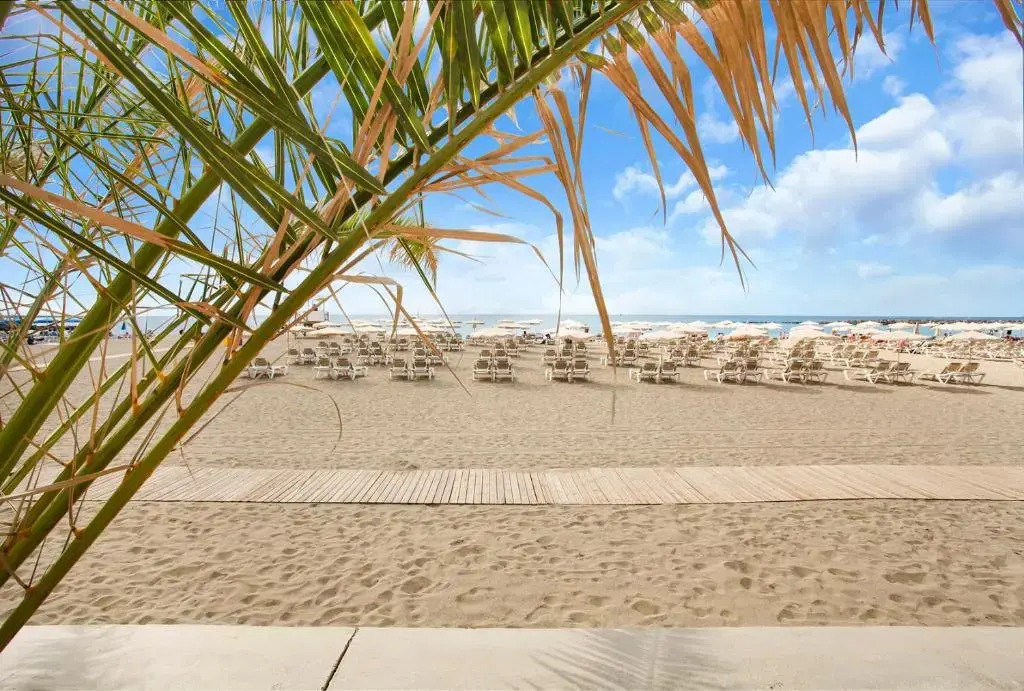 Nice Studio Bart 50 Meters From Playa las Vistas (Adults Only)