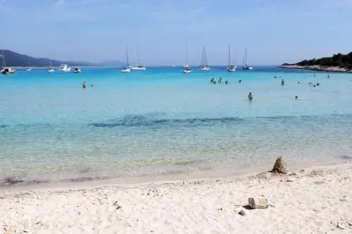Apartments Grbac Veli Rat-Seaside