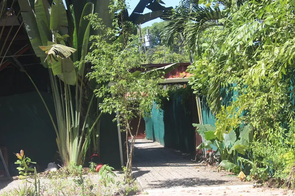 The Hideout