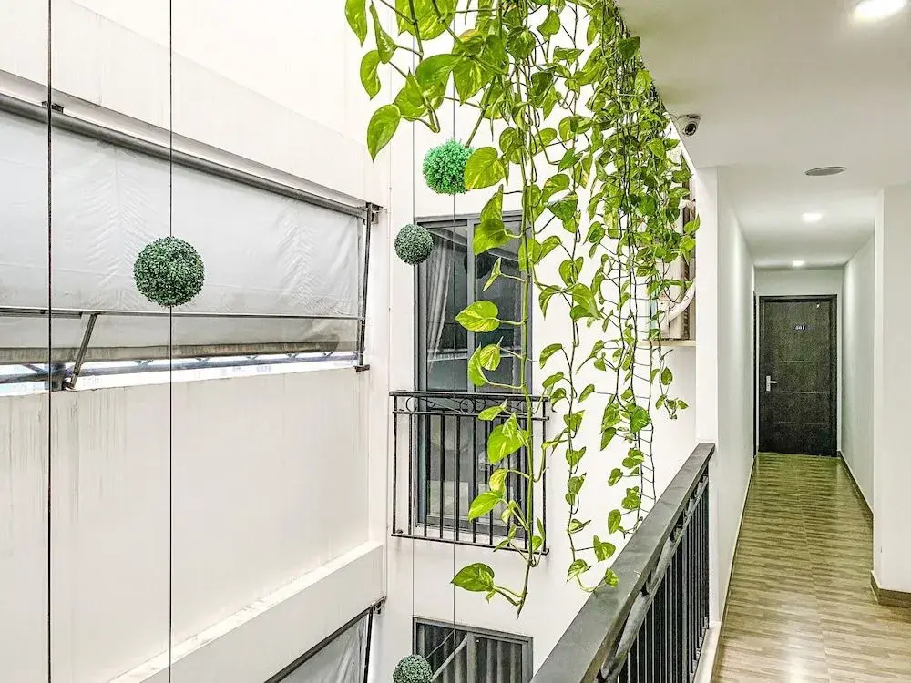 Hometel & Apartment Dreamer