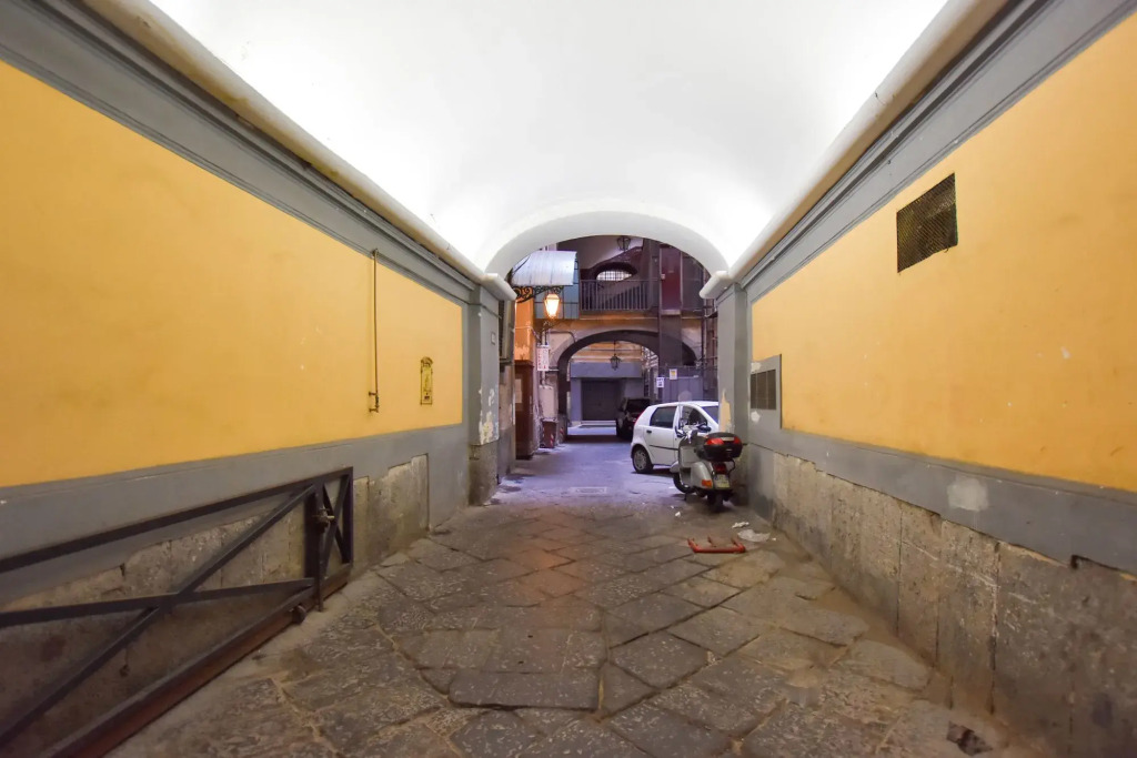 Domus Borbonica