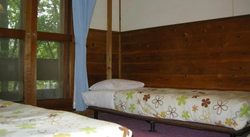 Hayashi Pension
