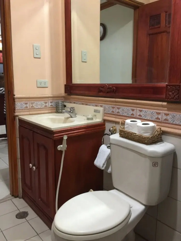1 Br Robinsons Place Manila - Rpr 09