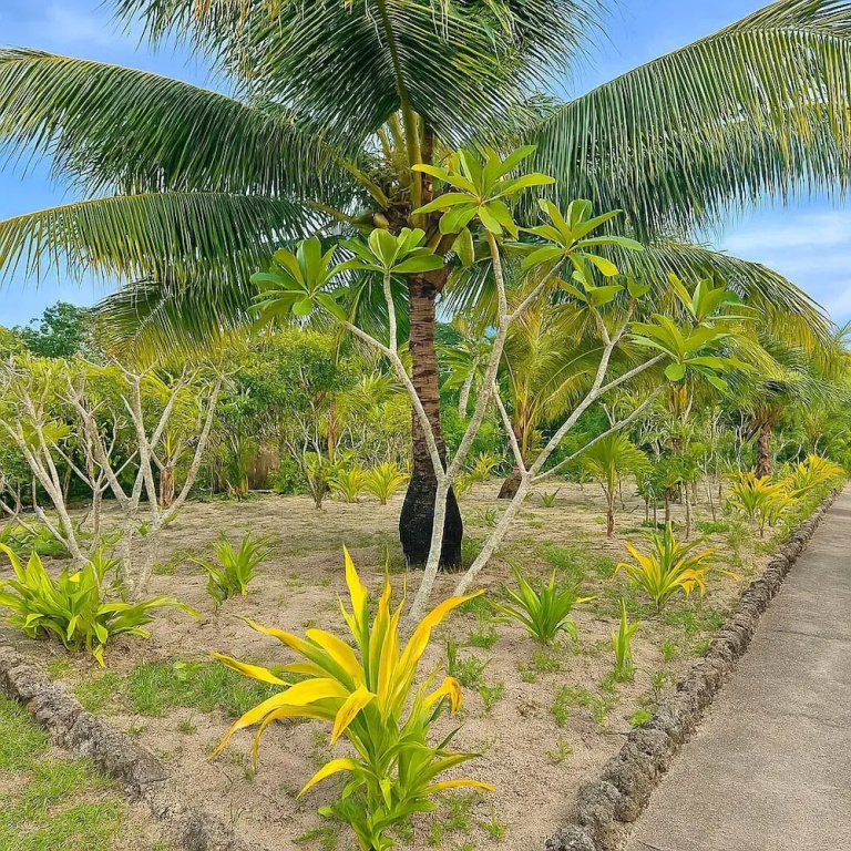 Garden Reef Bungalows