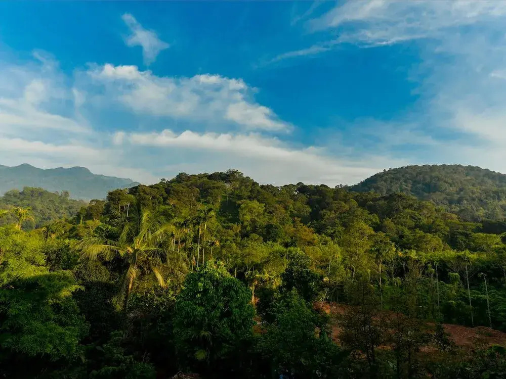OYO 24089 Taaza Holiday Hills