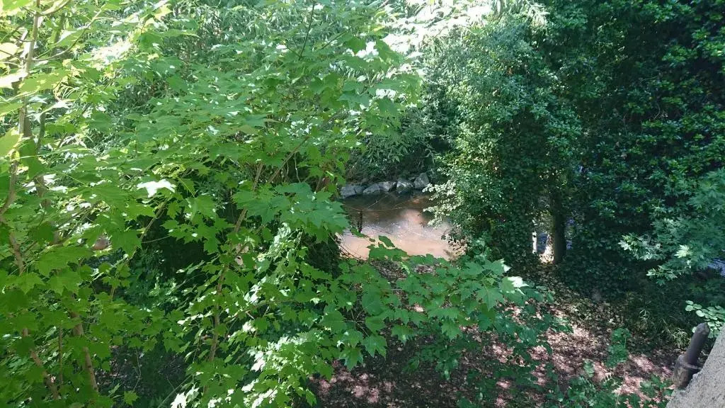 APPARTEMENT AU CENTRE VILLE de ROANNE 50 m²
