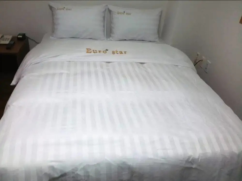 Euro Star Hotel