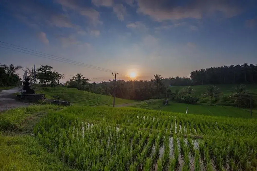 Bali Green Retreat