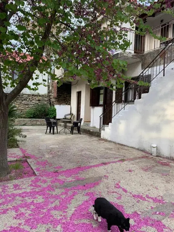 Raxes Kastanies Studio # 14