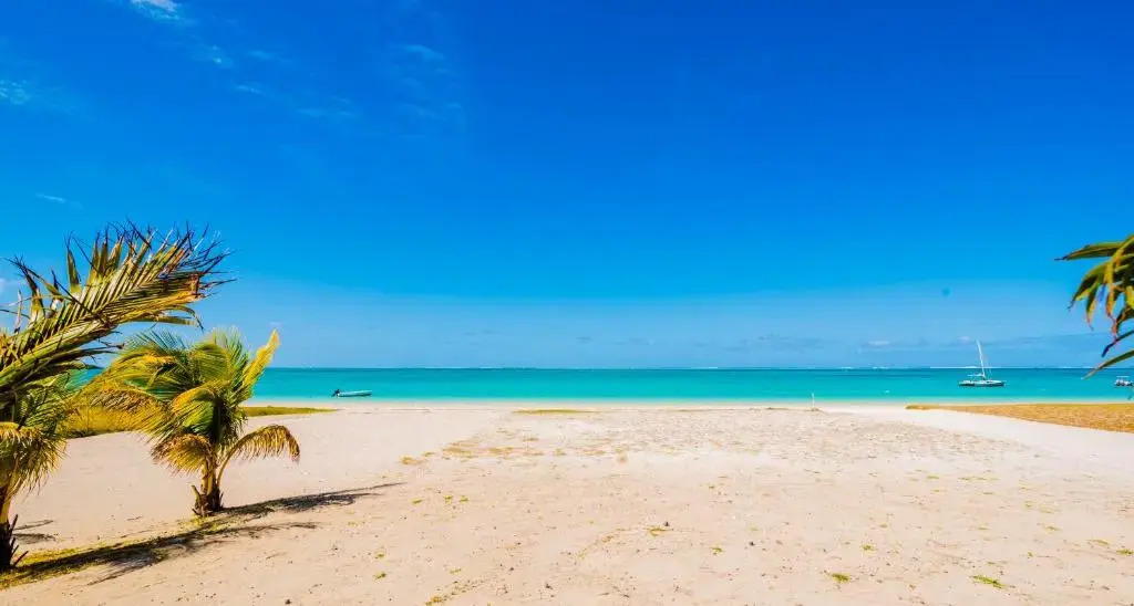 Summer Breeze - Beachfront - 3 Bedrooms Suite