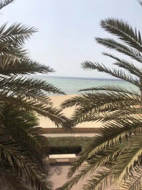 4 bedroom apt in king Abdullah economy city ابراج الشاطي