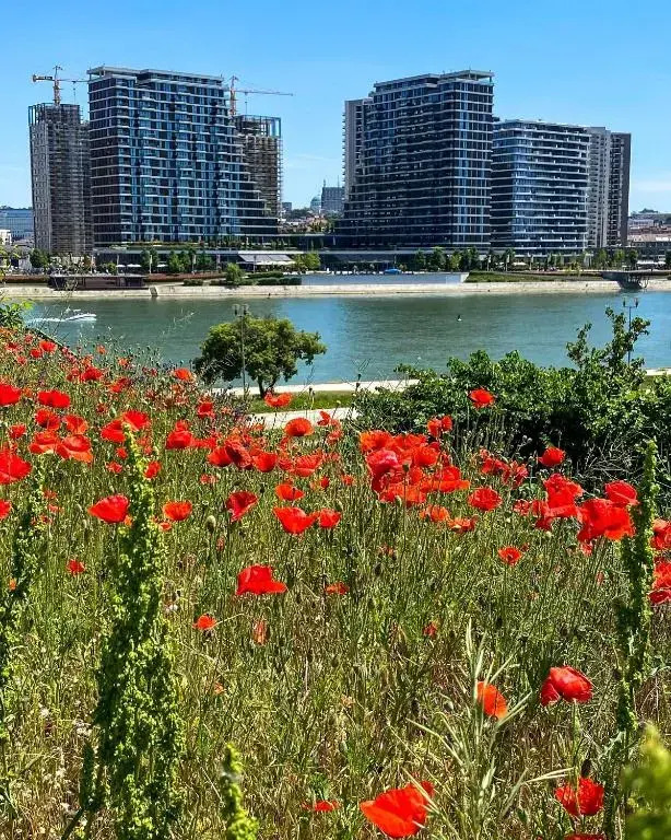 DOM Boutique Apartments - Park View