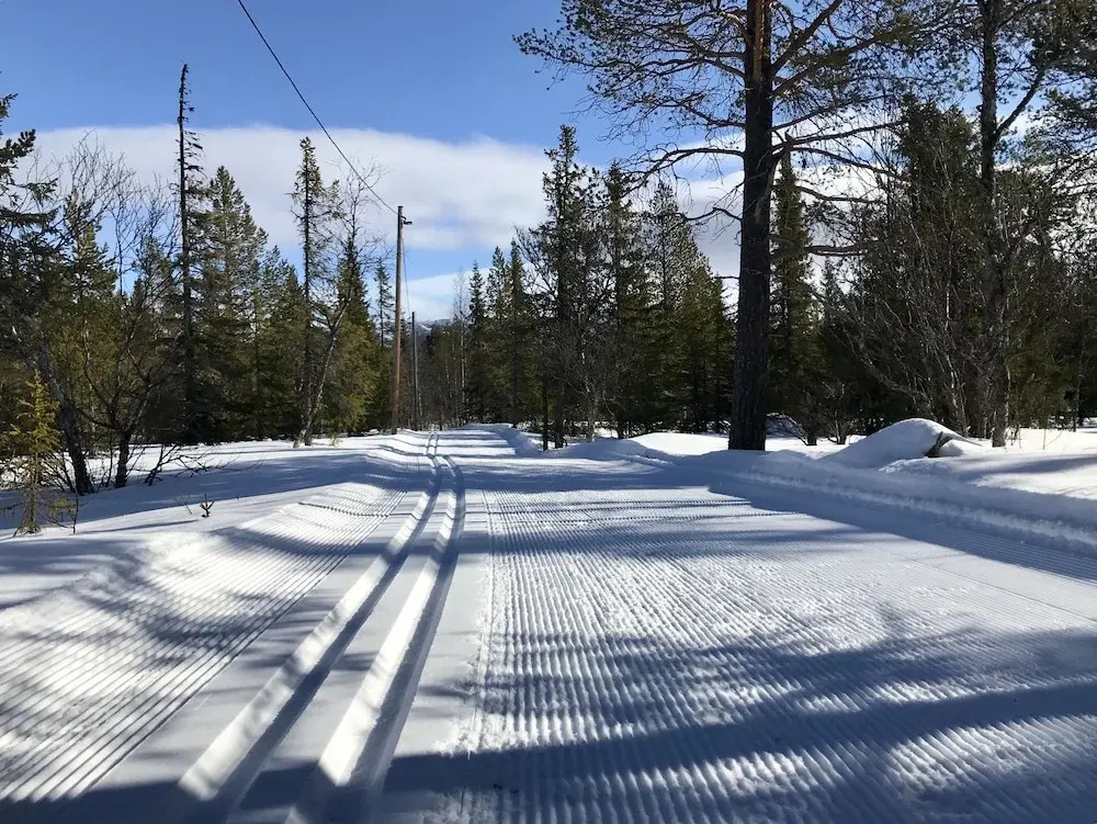 Grönländaren