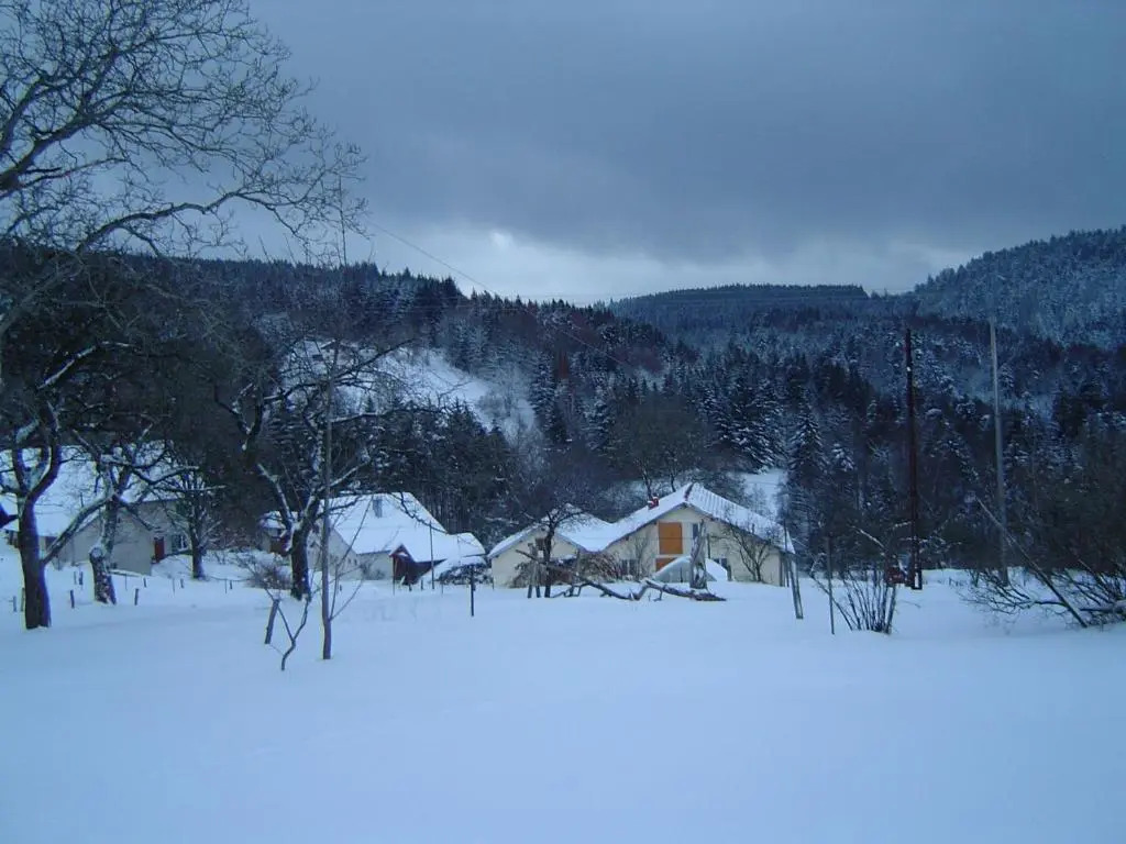 Grande maison avec cheminée, proche nature, idéale pour familles et amis, animaux admis. - FR-1-589-229
