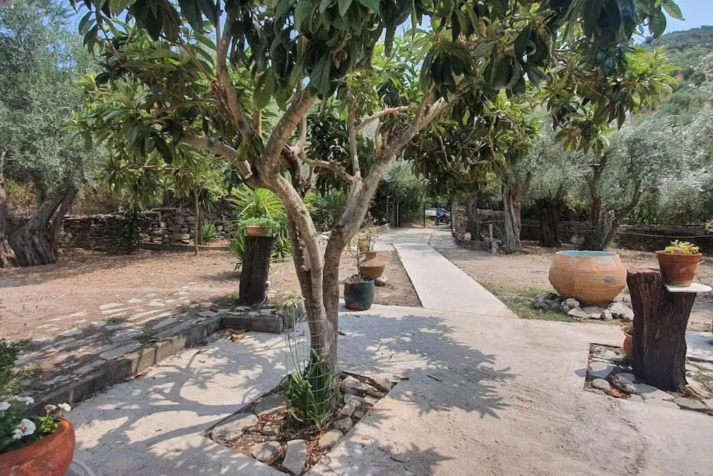 Cheerful 3 bedroom house with open fireplace