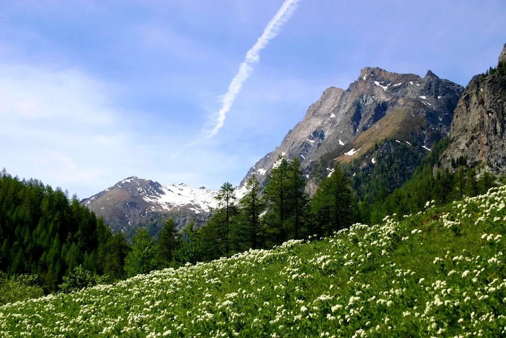 Apartment With 3 Bedrooms in Arvieux, With Wonderful Mountain View, En