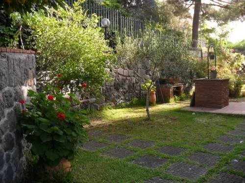 Il Mirtillo