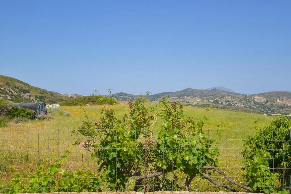 Xalakas Summer House