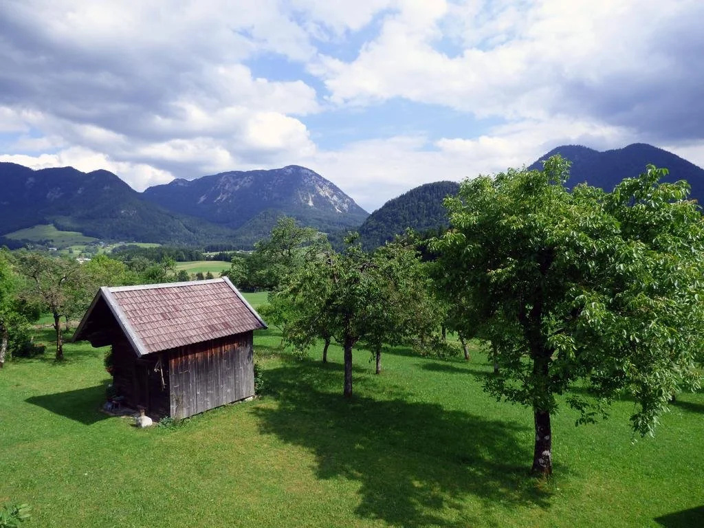 Ferienhaus Pucher
