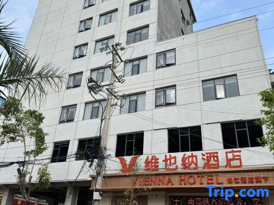 Vienna Hotel (Guangnan High-Speed Rail Station Branch