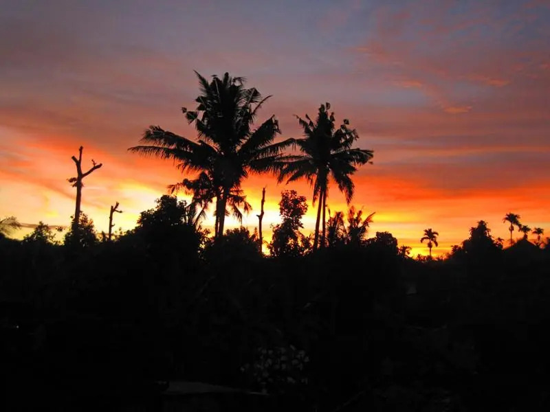 Nyoman Murjana Homestay