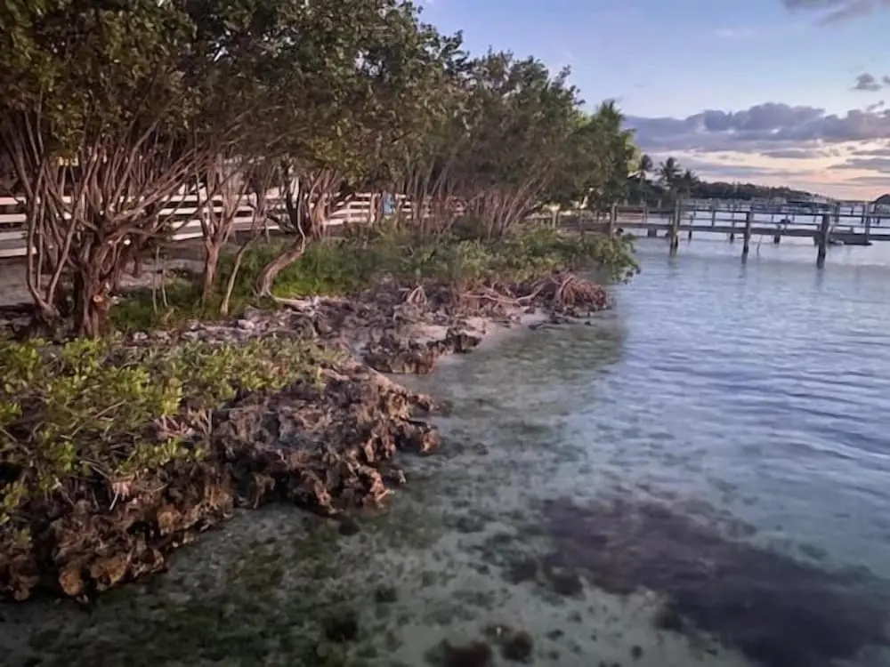 Bahia Bay Resort
