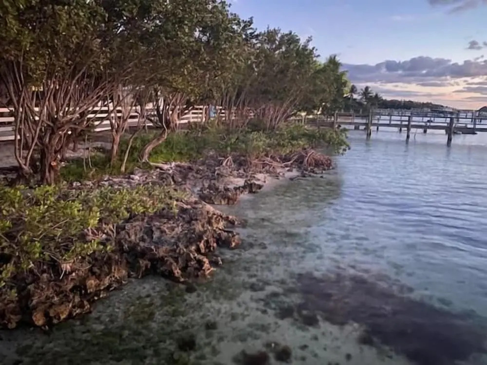 Bahia Bay Resort