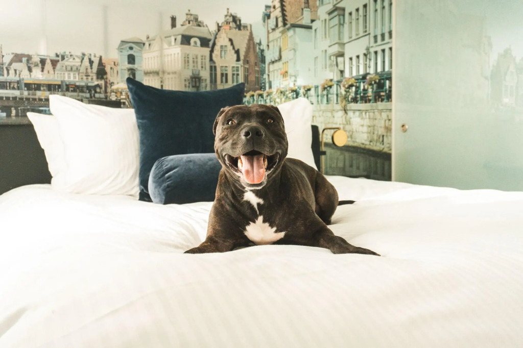 Residence Inn by Marriott Ghent