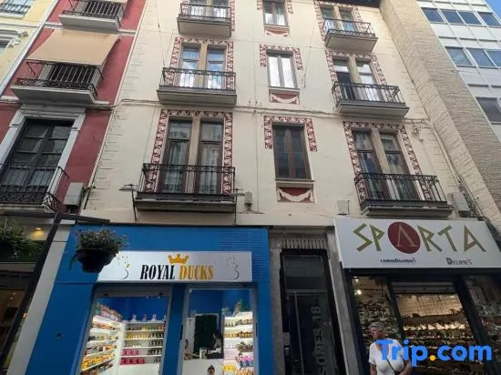 Apartaments  Castelo Mesones - Right in the city center, right next to Granada Cathedral