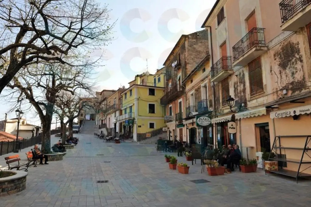 Fior D'Arancio