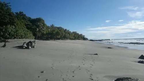Los Mangos Hotel