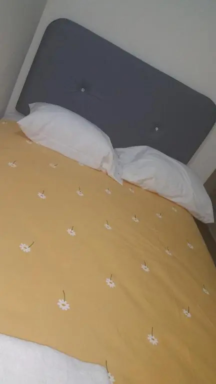 Hostel Quintonido