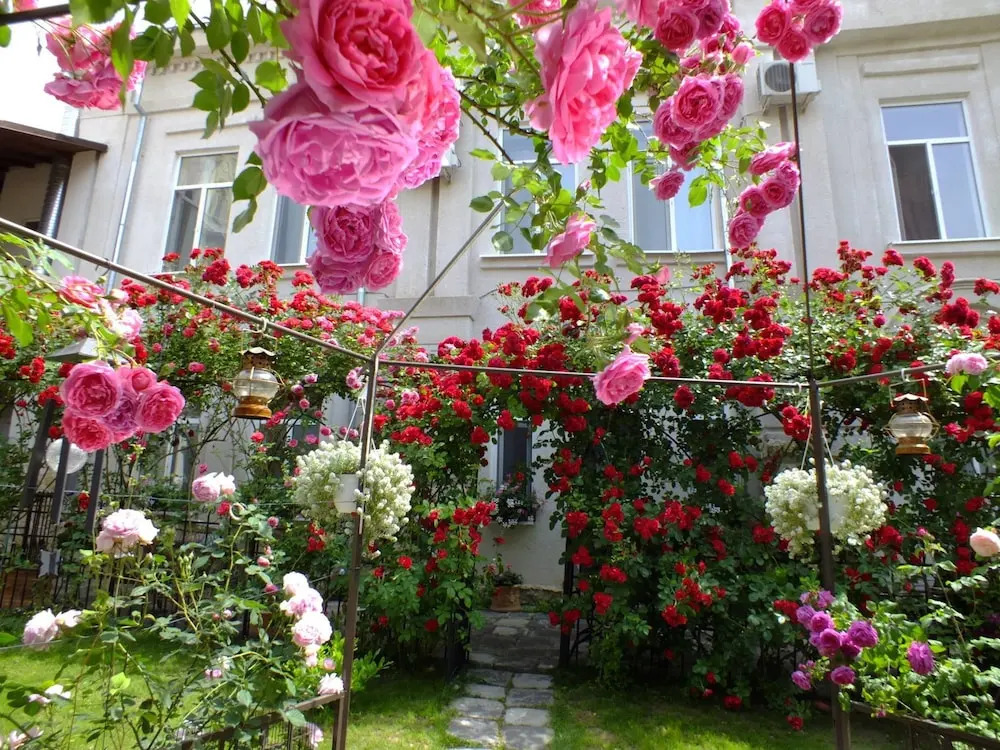 Residenza Dutzu-Boutique Hotel